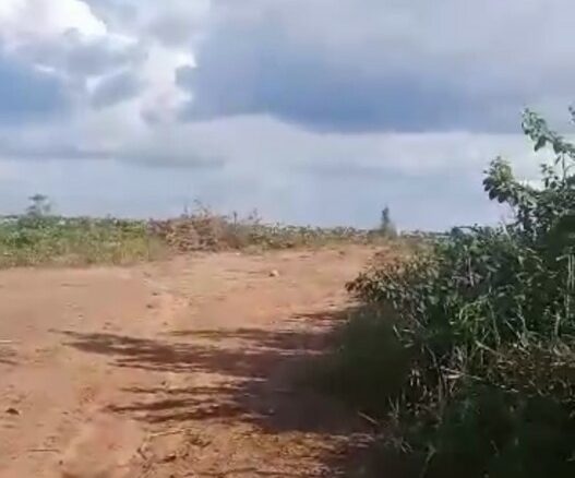 À VENDRE – 4 PARCELLES À DALOA – 2 000 000 FCFA CHACUNE.