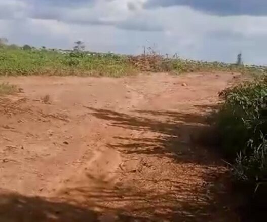 À VENDRE – 4 PARCELLES À DALOA – 2 000 000 FCFA CHACUNE.