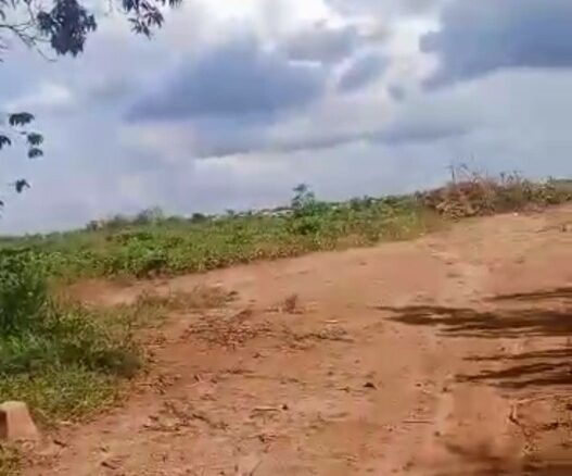 À VENDRE – 4 PARCELLES À DALOA – 2 000 000 FCFA CHACUNE.