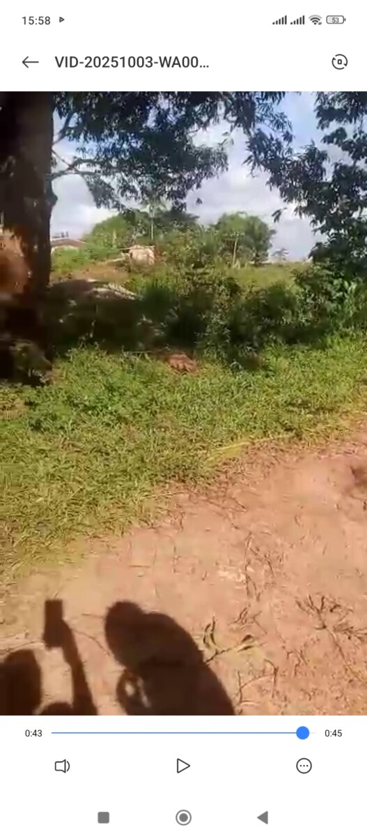 À VENDRE – 4 PARCELLES À DALOA – 2 000 000 FCFA CHACUNE.