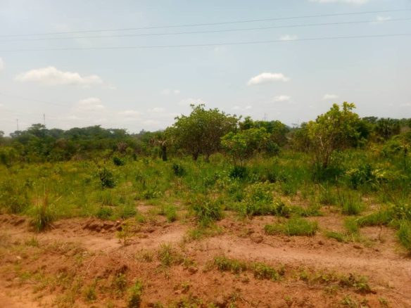 Opportunité exceptionnelle d’être propriétaire à Yamoussoukro à ne pas manquer!