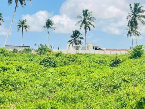 Terrain en vente pied dans l’eau à Bassam vitré 1 en bordure de la voie menant au BAC à 2k