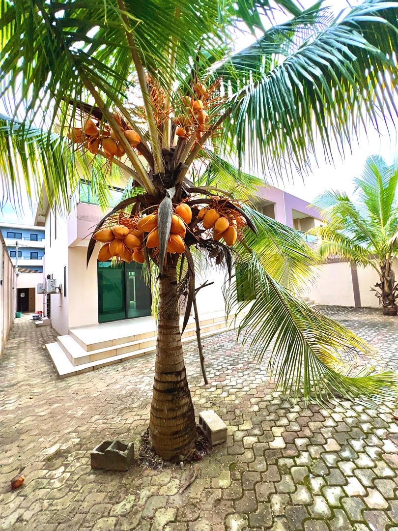 *BASSAM MOCKEYVILLE 📍* Mise en vente d’une magnifique villa haut standing de 06 pièces