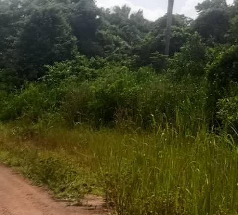 Vente d’une parcelle