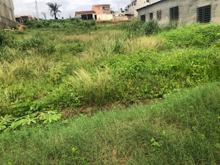 TERRAIN 600M2 A M’POUTO