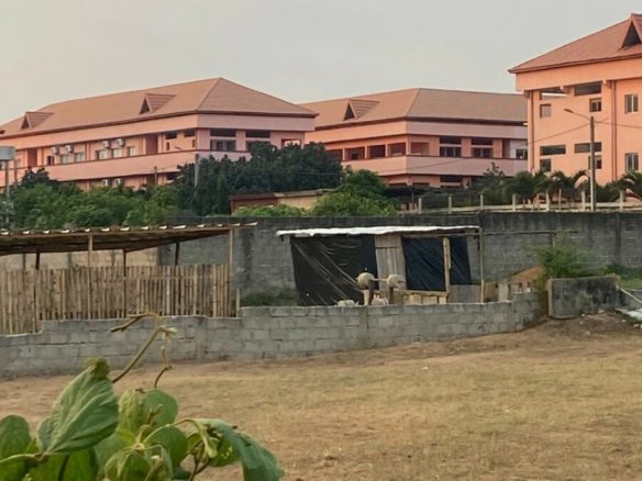 2 lots de 600 m² en vente à ANGRE