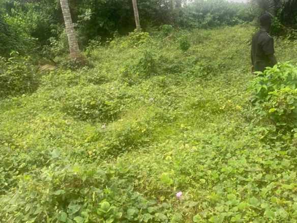 Terrain en vente à BASSAM