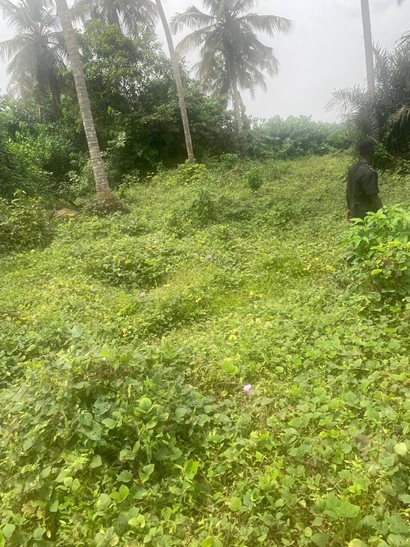 Terrain en vente à BASSAM