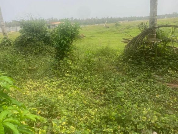 Terrain en vente à BASSAM