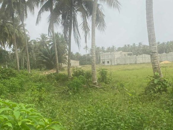 Terrain en vente à BASSAM