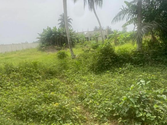 Terrain en vente à BASSAM