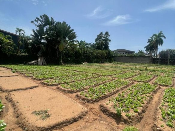 VENTE, COCODY – RIVIERA GOLF 1, Un terrain de 1.500M² Terrain nu idéalement.