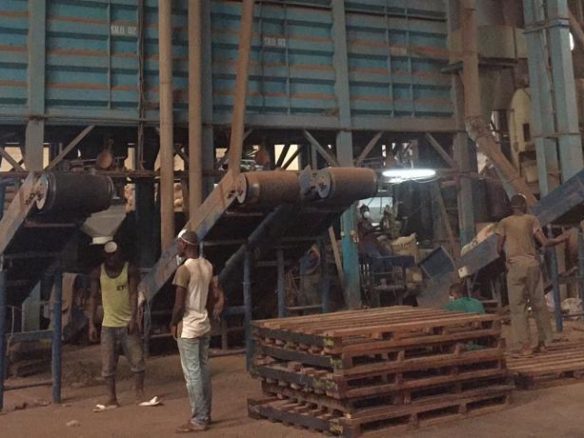 À VENDRE – Usine de transformation de cacao et café | San Pedro Opportunité industrielle