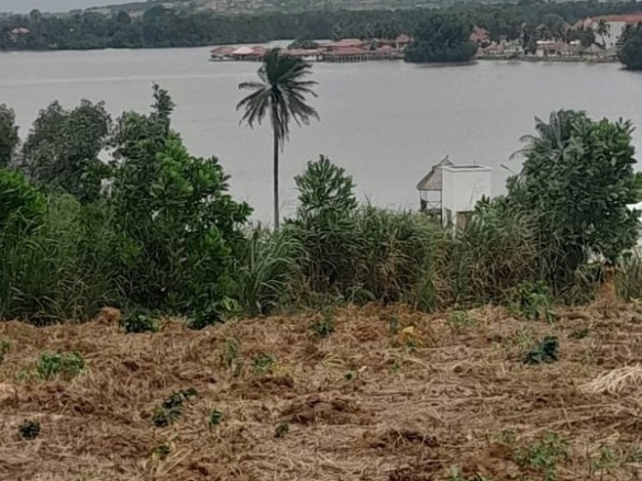 Terrain résidentiel 600m² -Cocody-Angré 8ème tranche
