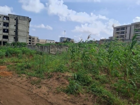 Terrain 593 m² ACD à Bingerville