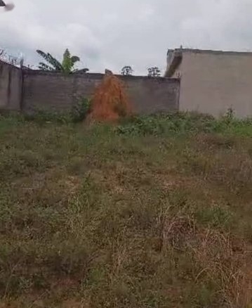 Terrain 2lots collés 600m² ACD -Cocody-Angré Djorogobité