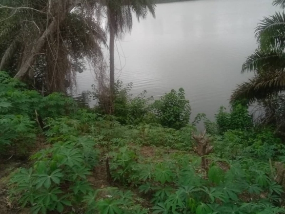 Terrain 500m² – Adiaké