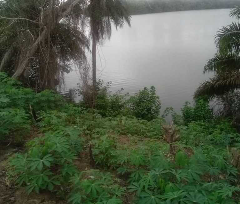 Terrain 516m² -Bingerville