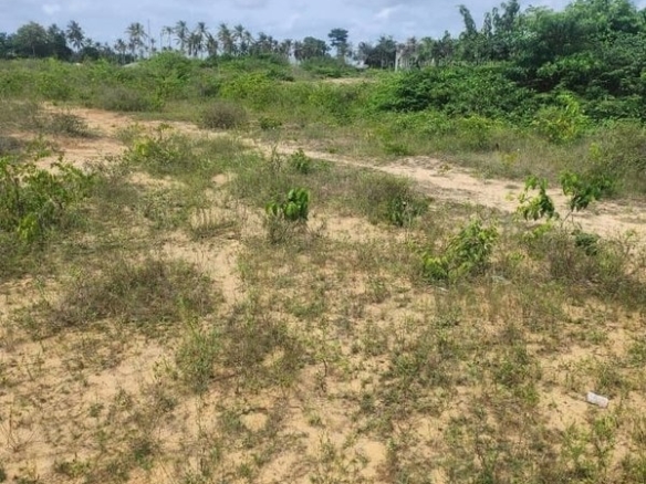 Parcelle 15 hectares à grand bassam