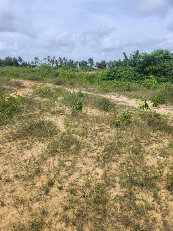 Parcelle 15 hectares à grand bassam