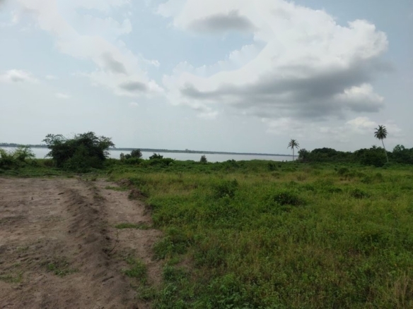 Terrains 4lots 500m² -Bingerville