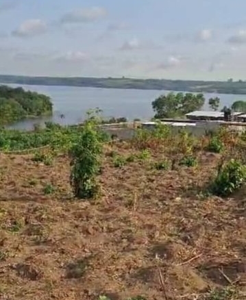 Terrain 516m² -Bingerville