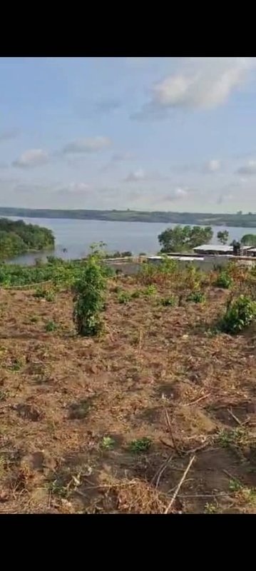 image_sans_filigrane_573-processed