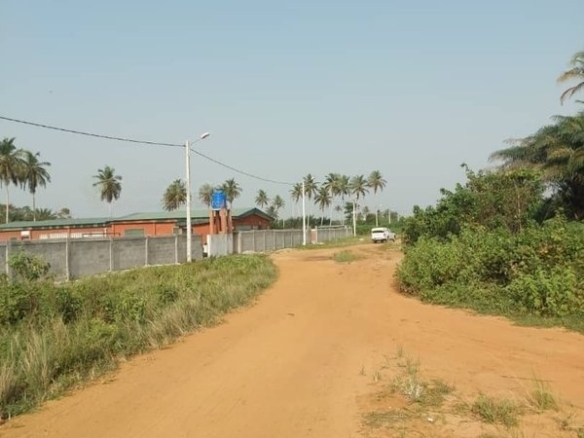 Terrain 700m² + -Jacqueville