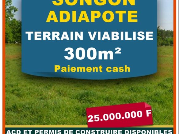 *Les terrains Approuvés à Yaou* : 300m²= 8 millions 400m2= 10 millions 500m²= 12 millions *ACD