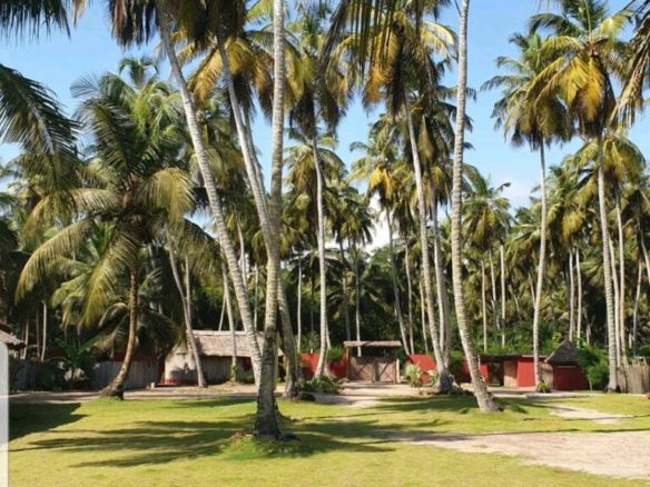 Très bon business à Assinie au bord de la mer
