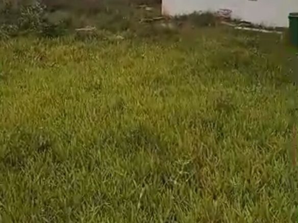 En vente zone 4 un terrain de 651m2 avec ACD non loin de la Rue Paul Langevin