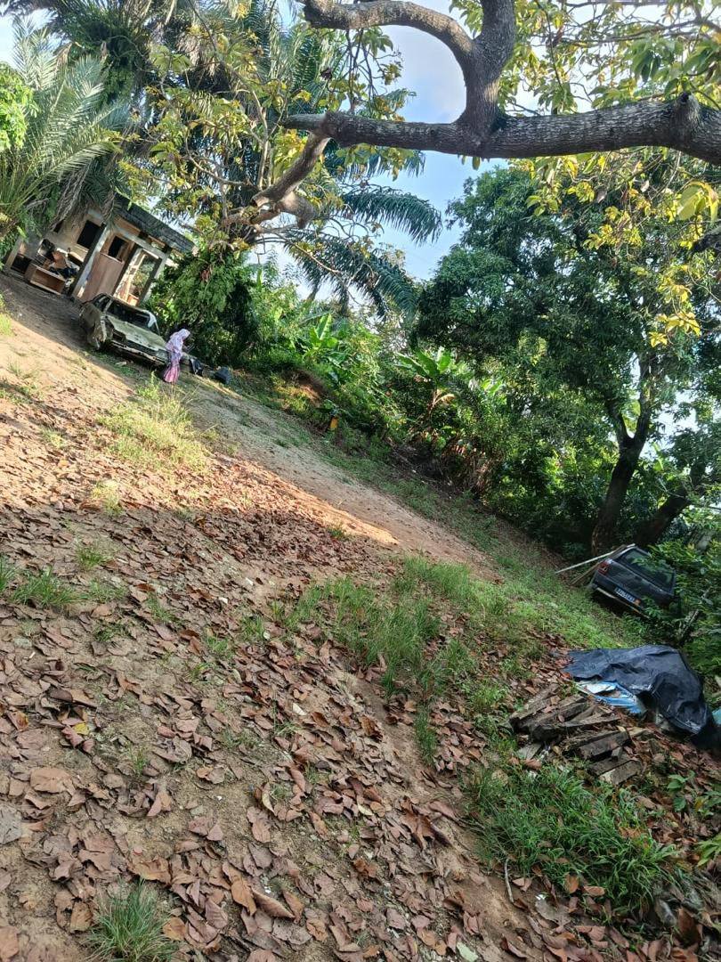 Terrain à vendre Cocody Angré 7ème tranche 6593 m2