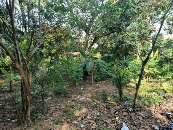 Terrain à vendre Cocody Angré 7ème tranche 6593 m2