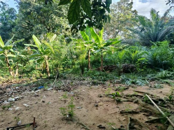 Terrain à vendre Cocody Angré 7ème tranche 6593 m2