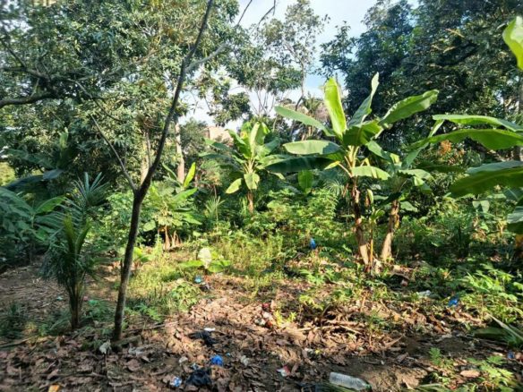 Terrain à vendre Cocody Angré 7ème tranche 6593 m2