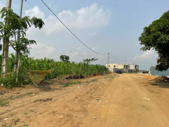 Vente de terrain à bingerville adjin site viabilisé avec toutes les commodités