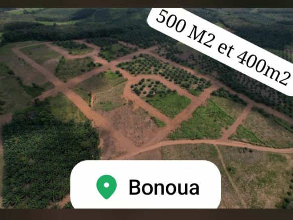 Terrain à vendre Bounoua- Assinie, SOUMALEKRO Prestige
