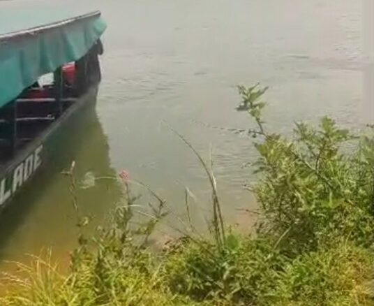 🌴 OPPORTUNITÉ À SAISIR – TERRAIN BORD LAGUNE 🌊