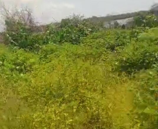 🌴 OPPORTUNITÉ À SAISIR – TERRAIN BORD LAGUNE 🌊