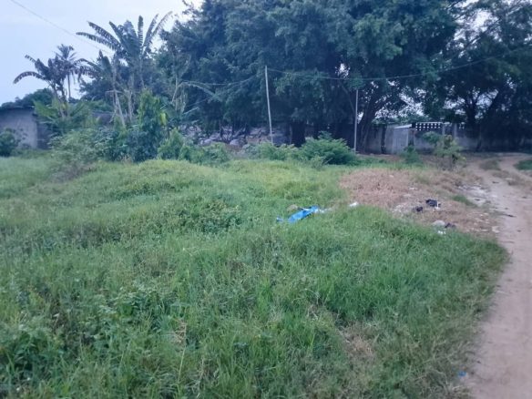 TERRAIN SONGON ABIDJIN DOUME
