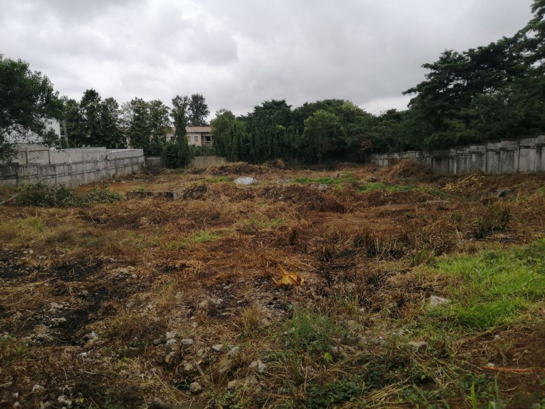 TERRAINS EN VENTE SONGON