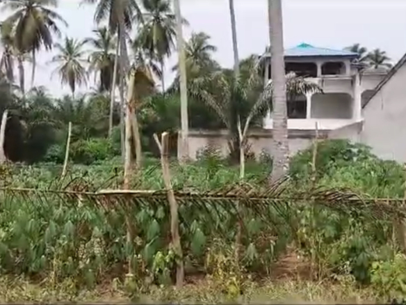terrains de 560 m2 chacun à Jacqueville en pleine ville