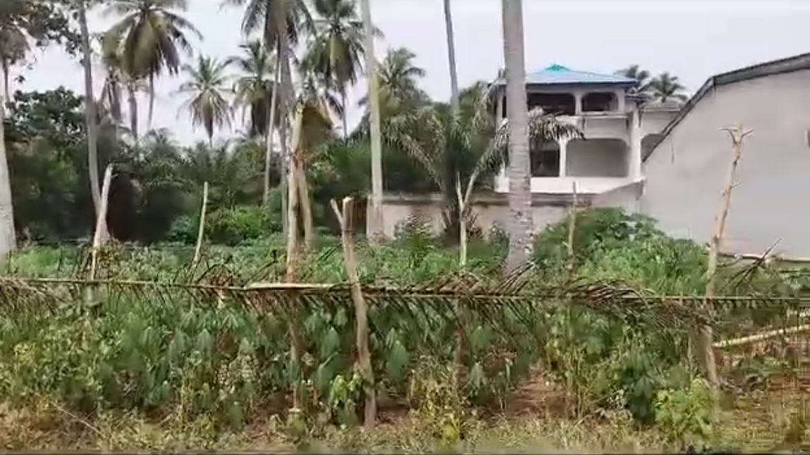terrains de 560 m2 chacun à Jacqueville en pleine ville