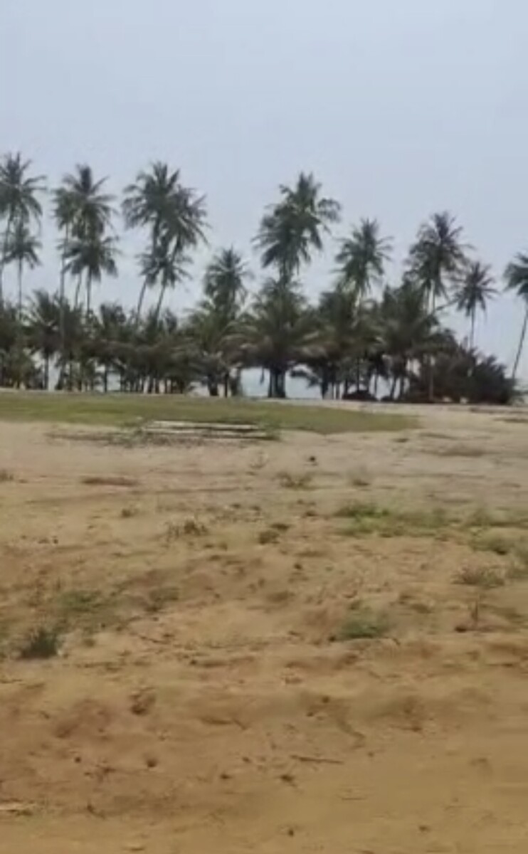 Plusieurs terrains de 1000m2 à la baie des milliardaires