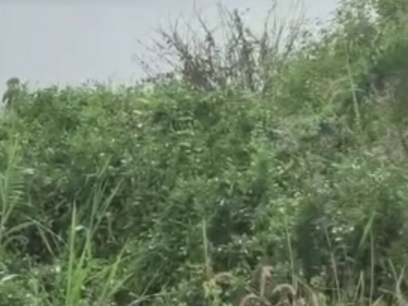 Plusieurs terrains de 1000m2 à la baie des milliardaires