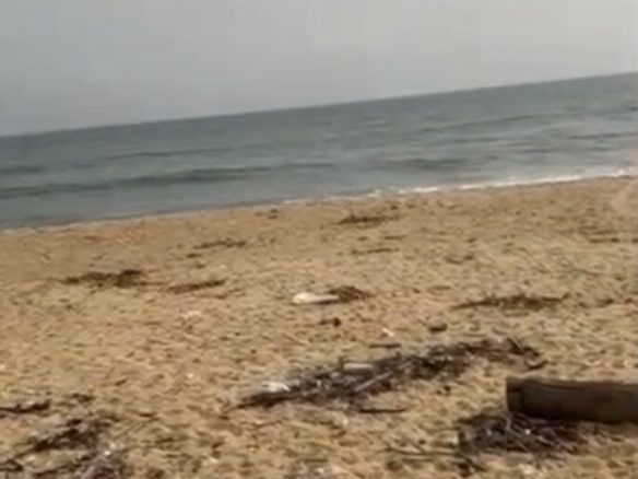 Terrain de 1000m2 avec servitude de 2000m2 pieds dans l’eau mer