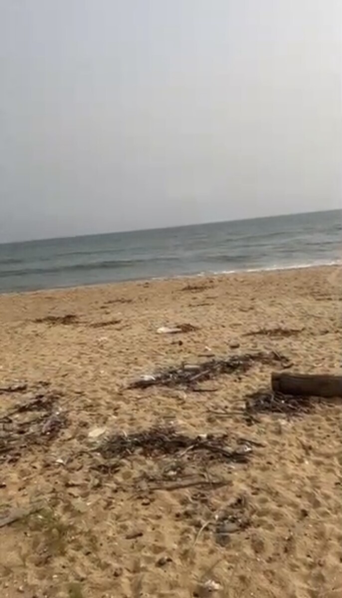 Terrain de 1000m2 avec servitude de 2000m2 pieds dans l’eau mer