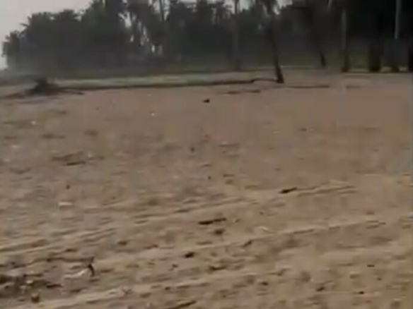 Terrain de 1000m2 avec servitude de 2000m2 pieds dans l’eau mer