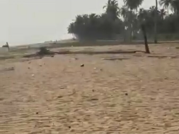 Terrain de 1000m2 avec servitude de 2000m2 pieds dans l’eau mer