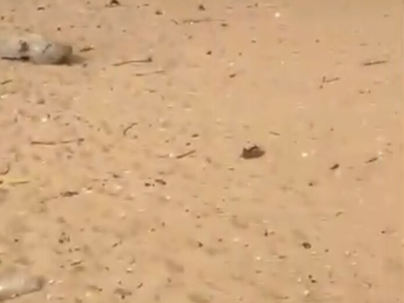 Terrain de 1000m2 avec servitude de 2000m2 pieds dans l’eau mer